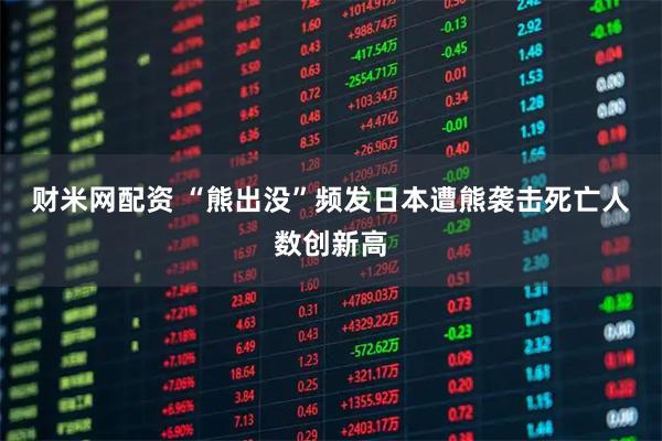 财米网配资 “熊出没”频发　日本遭熊袭击死亡人数创新高