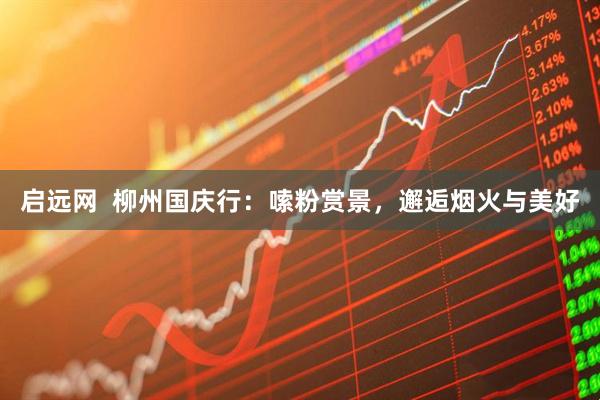 启远网  柳州国庆行：嗦粉赏景，邂逅烟火与美好