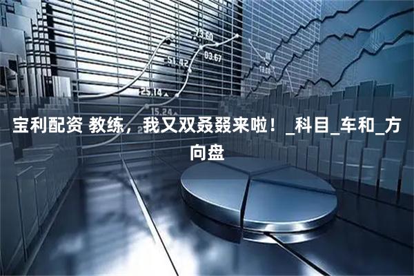 宝利配资 教练，我又双叒叕来啦！_科目_车和_方向盘