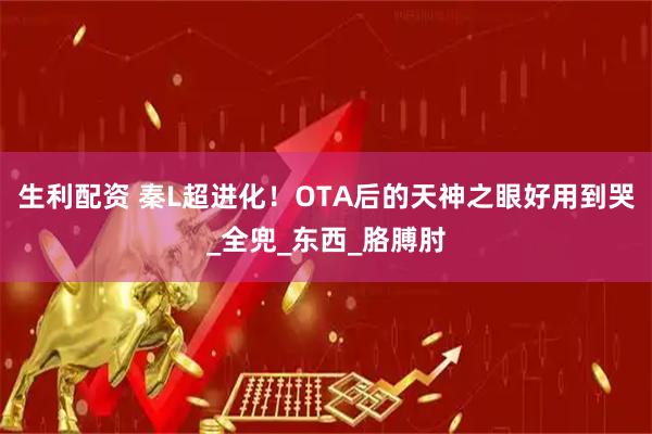 生利配资 秦L超进化！OTA后的天神之眼好用到哭_全兜_东西_胳膊肘