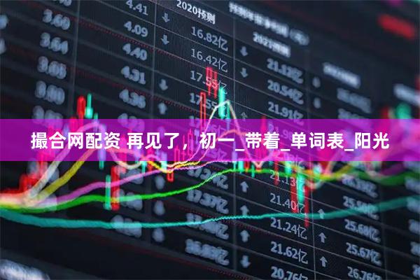 撮合网配资 再见了，初一_带着_单词表_阳光