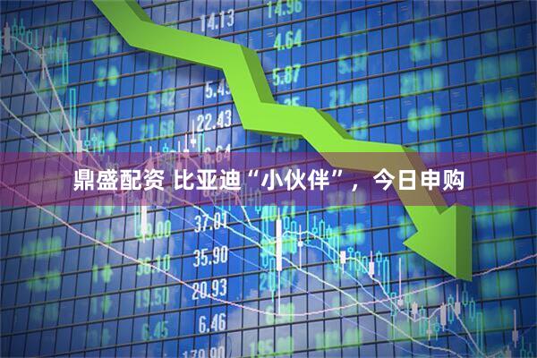 鼎盛配资 比亚迪“小伙伴”，今日申购